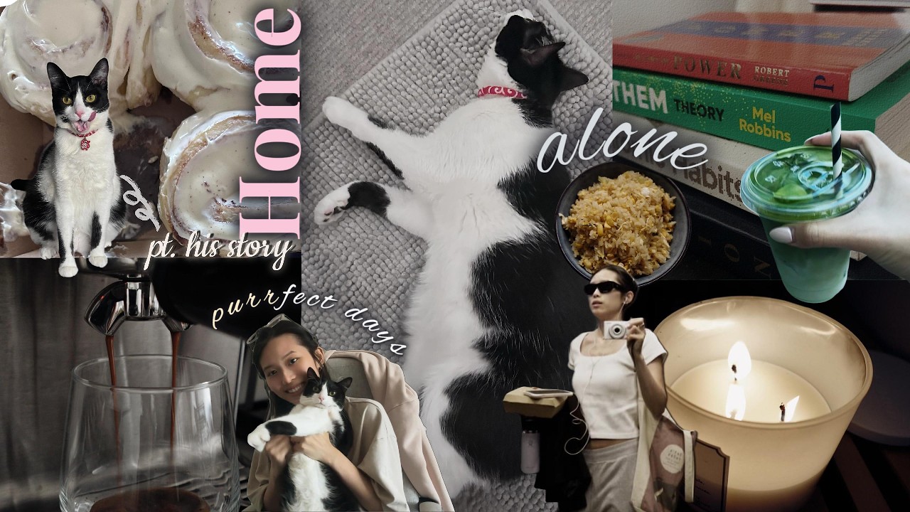 Living alone in Melbourne with my cat | Cozy solo reset vlog  | 🐾 How Nerio and I met 🐈‍⬛
