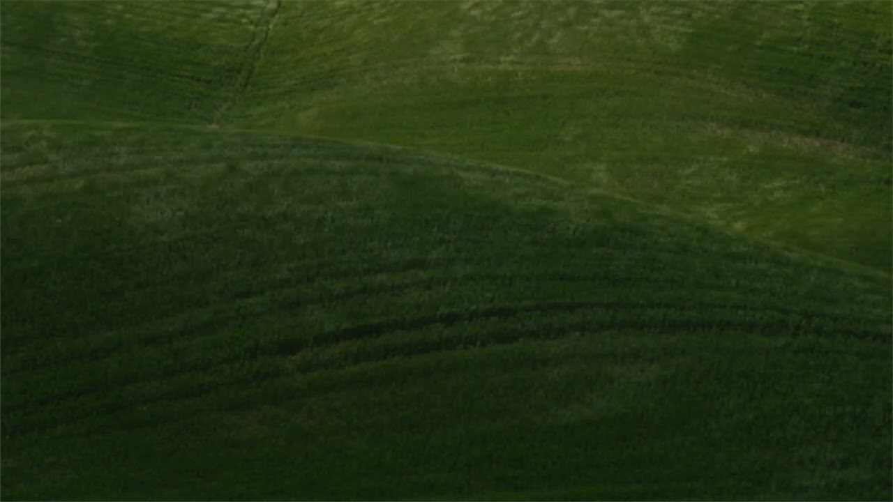 Casa Olivo | Wind in Tuscany