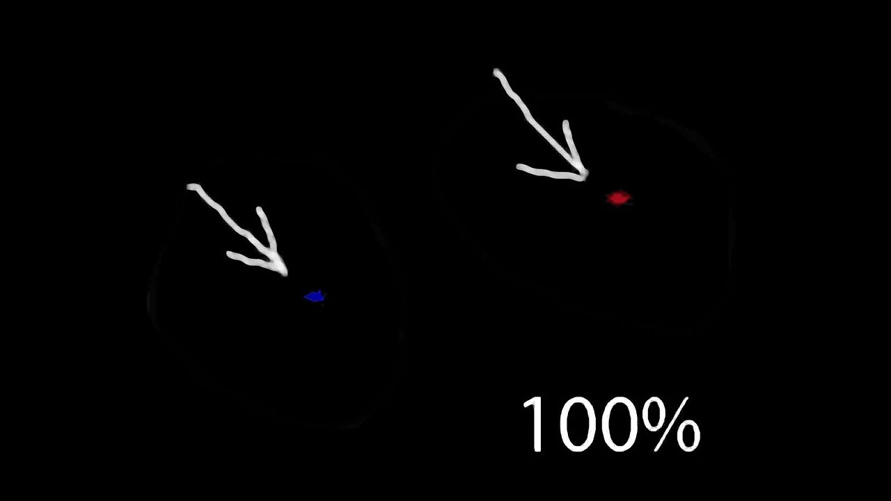 Как убрать битый пиксель на матрице фотоаппарата