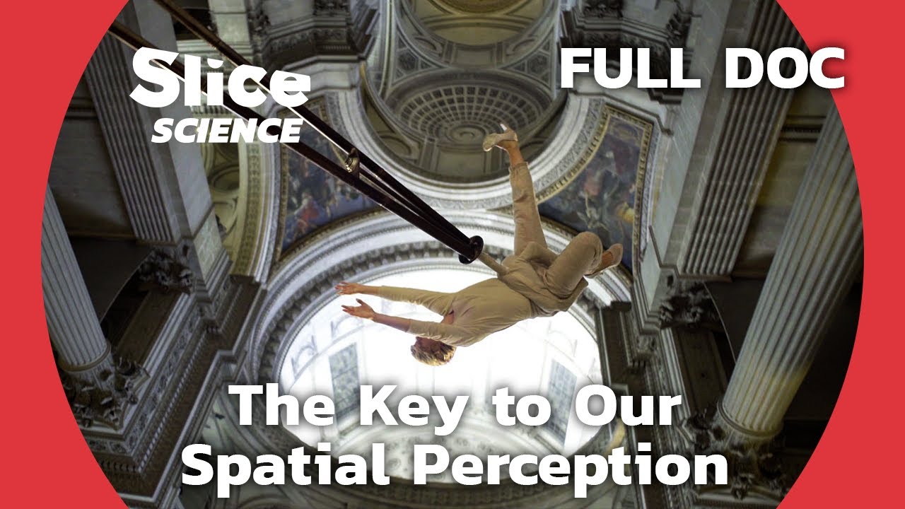 Proprioception: The Real 6th sense | SLICE SCIENCE | FULL DOCUMENTARY
