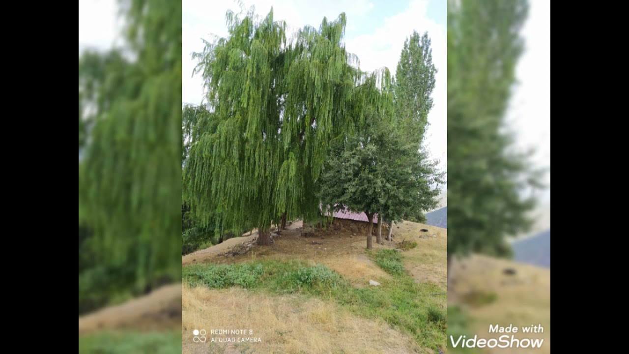 ÇORUM KARGI MAKSUTLU KÖYÜ