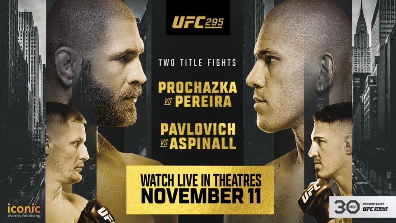 UFC 295 LIVE PROCHAZKA VS PEREIRA LIVESTREAM & FULL FIGHT COMPANION
