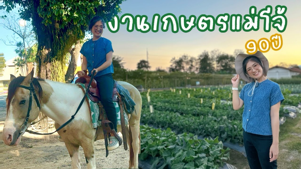 ก.กวางปาแอ่ว:งานเกษตรแม่โจ้ 90 ปี