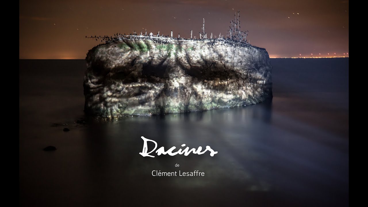 Projet Racines