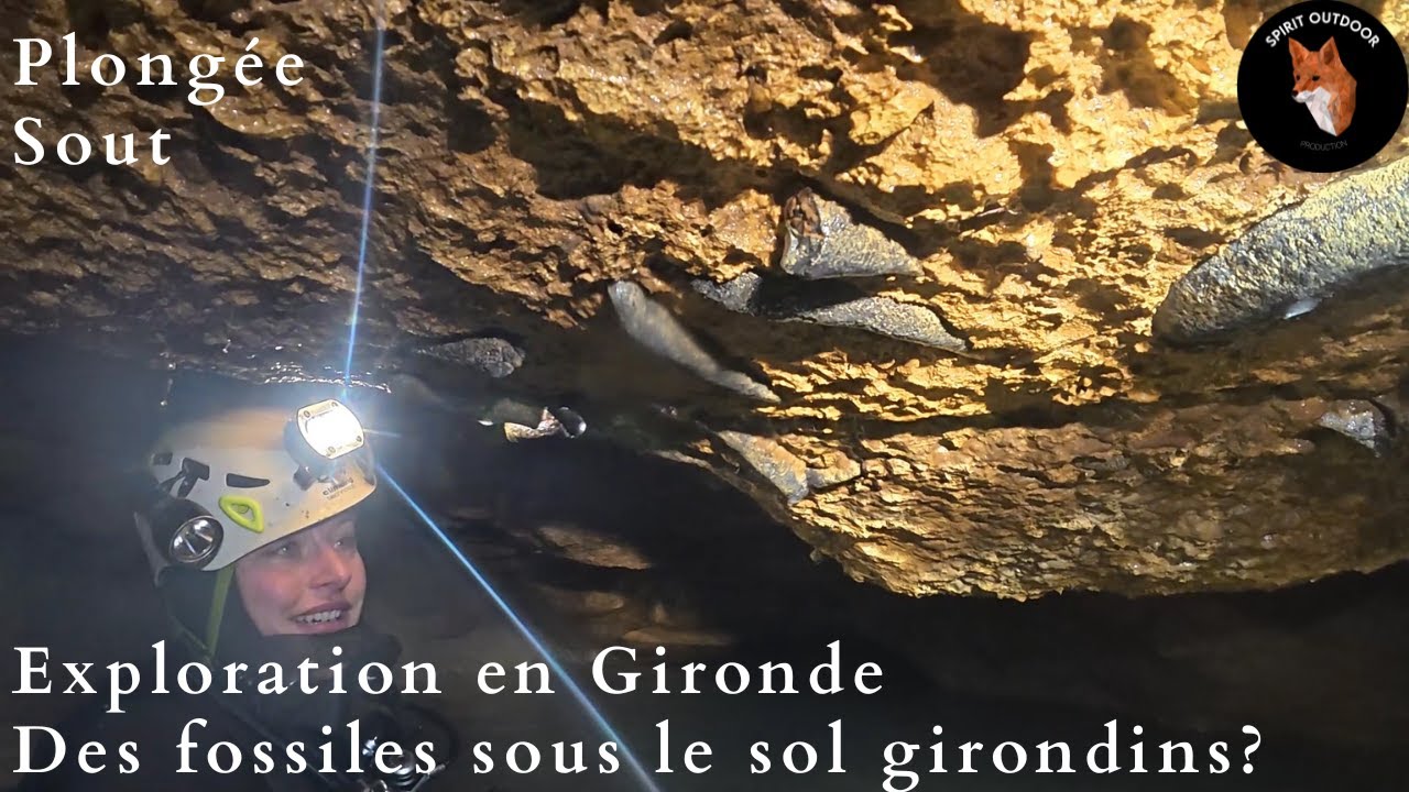 Explo Plongée Sout - Bélier - Presque fini ? des fossiles ? #speleo #cavediving #extreme