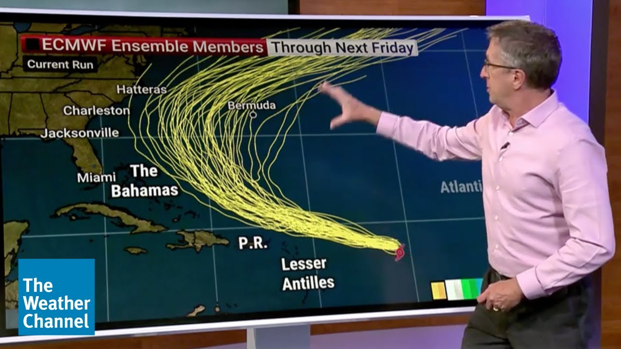 Hurricane Expert Dr. Rick Knabb Analyzes Erin's Future Track | The Weather Channel