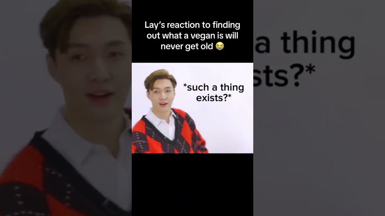 Lay doesn't know what vegan means 😭😭 #vegan #layzhang #funny #exo #interview #shorts