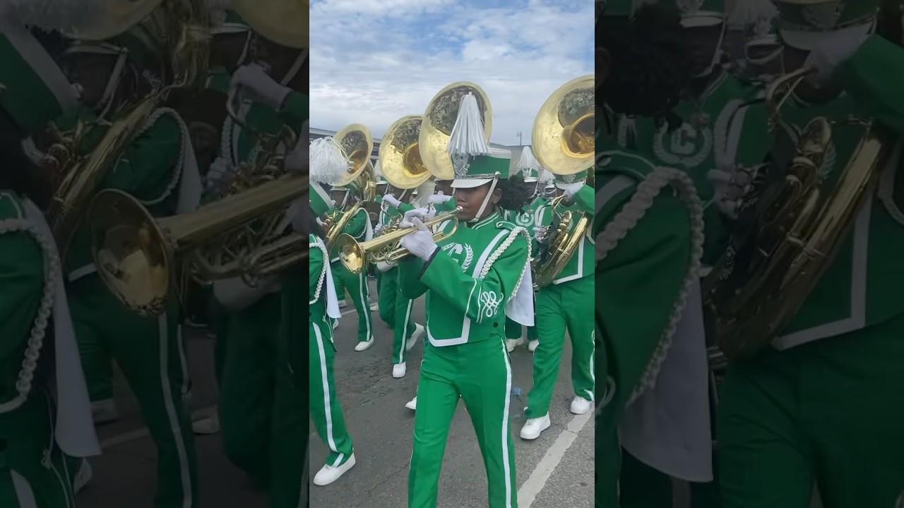 New Orleans has amazing Marching bands in our Mardi Gras Parades! Happy Mardi Gras 2025 Everyone!