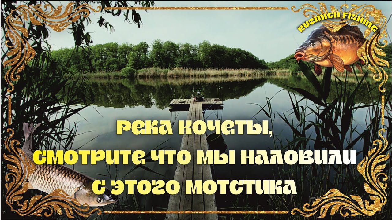 Река Кочеты, смотрите, что мы наловили с этого мостика