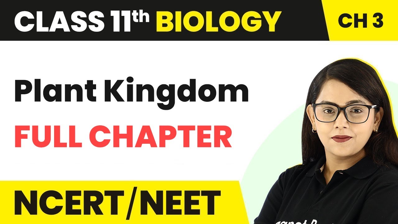Plant Kingdom - Full Chapter Explanation | Class 11 Biology Chapter 3 | NCERT/NEET
