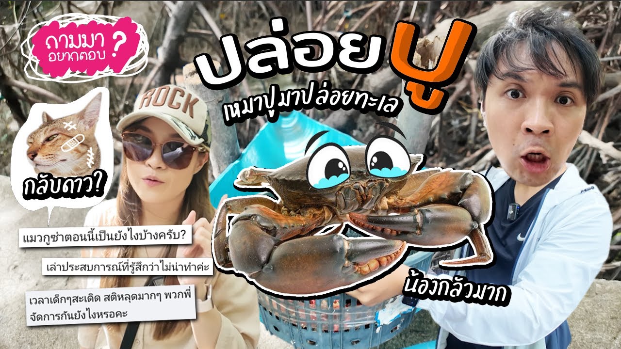 เหมาปูไปปล่อยทะเล! แมวกูซ่ากลับดาวแล้ว? // ถามมาอยากตอบ 26 Q&A
