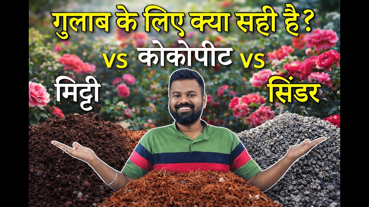 which poting mixture is best for roses , soil vs cocopeat vs cinder
