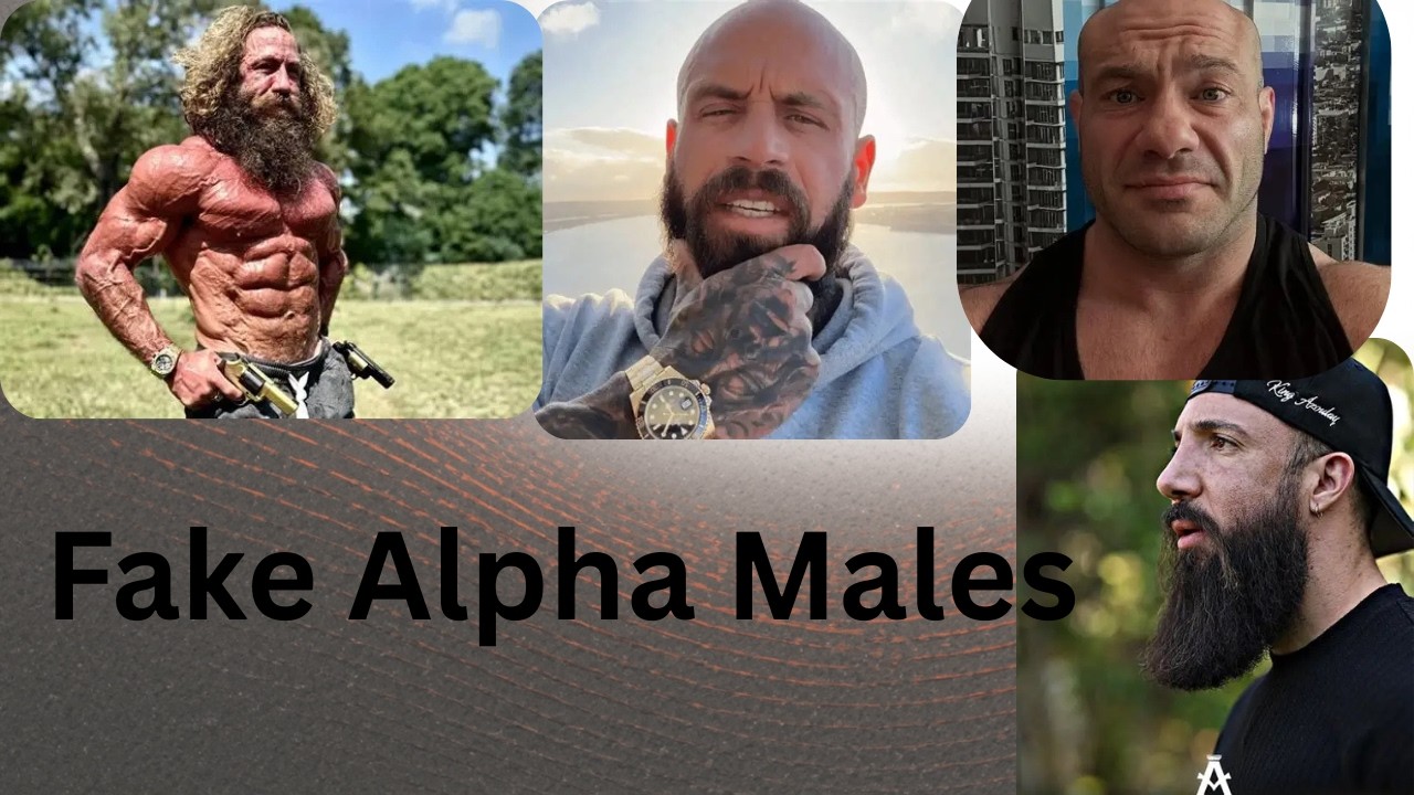 Fake Alpha Males