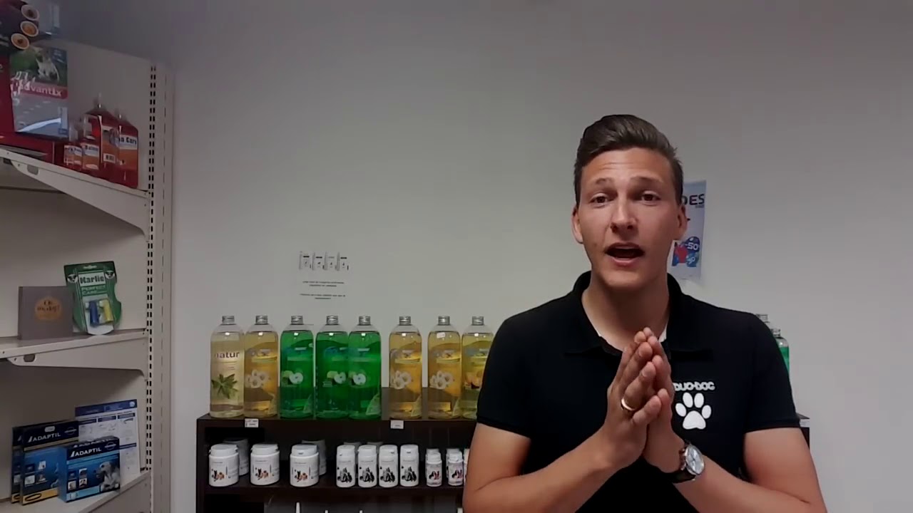 Comment laver mon chien ? Avec quel shampoing ? #30
