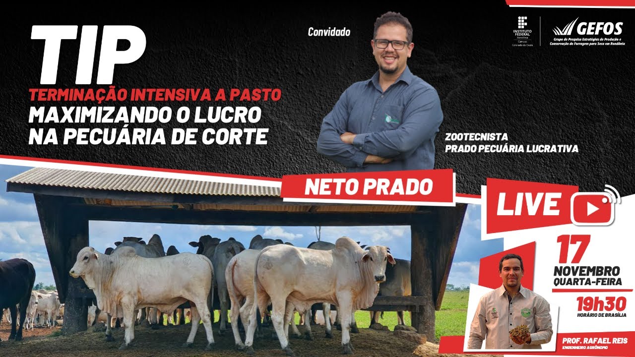 Live - TIP | Terminação Intensiva a Pasto | Maximizando o lucro na pecuária de corte