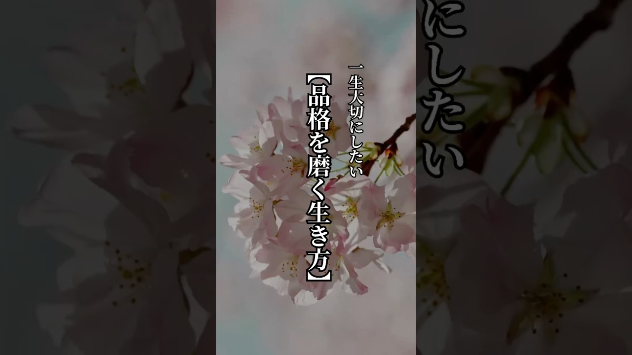 一生大切にしたい【品格を磨く生き方】 #言葉 #名言 #心に響く言葉 #品格