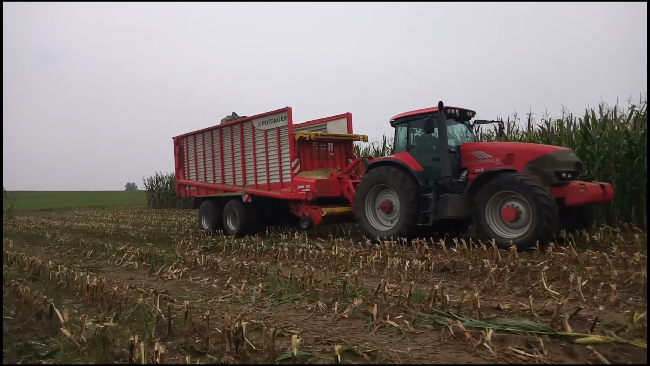 Koszenie 🌽kukurydzy🌽 z Claas-ą. Gr. Supińscy|3x FENDT | CLAAS | VALTRA | McCORMICK | KUBOTA |