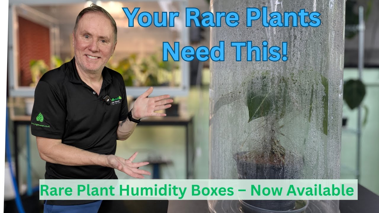 The Ultimate Humidity Box for Rare Plant Collectors