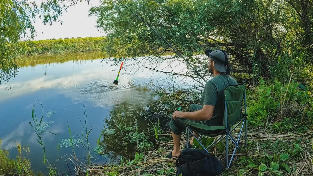 Angeln: Einfach mal abschalten! Friedfische & Karpfen mit Schwimmer und Pressfutter