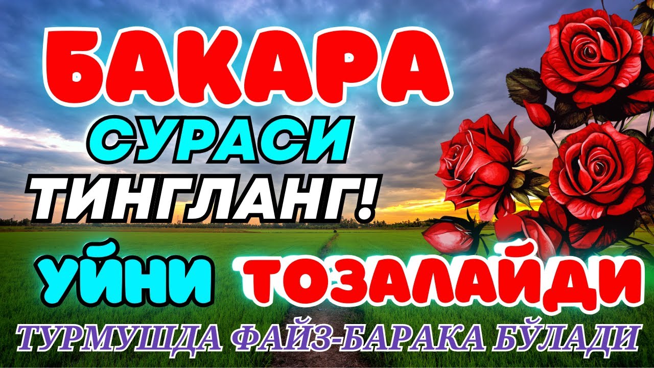 Бақара сураси Уйга ШАЙТОН кирмайди !!! Baqara surasi БАКАРА BAQARAH | БУ СУРАНИ УҚИНГ