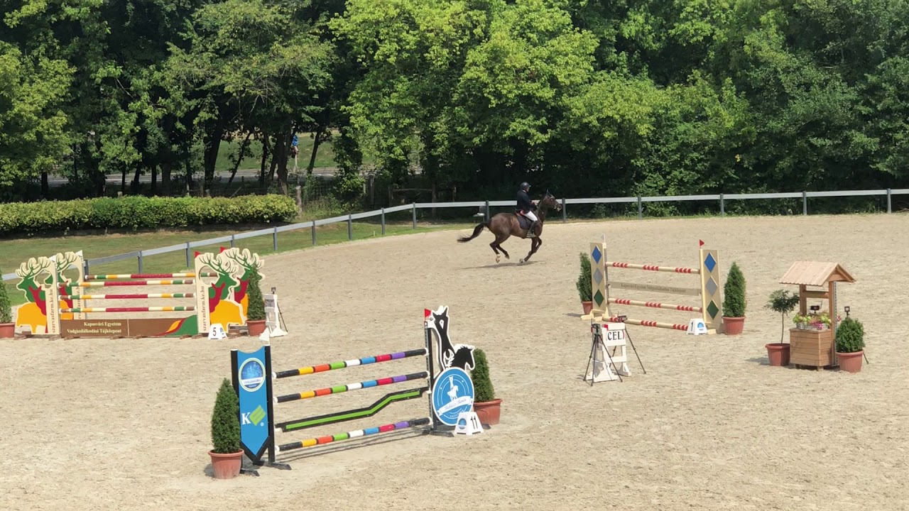 Gigant's (Vleut x Landlord) 4th place on 135 cm at National Qualifier