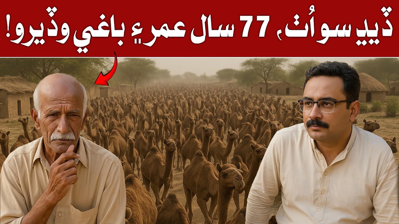 Daidh So Uth, 77 Saal Umar Aeen Baghi Wadero | Aijaz Rind Story | Irfan Bughio Official