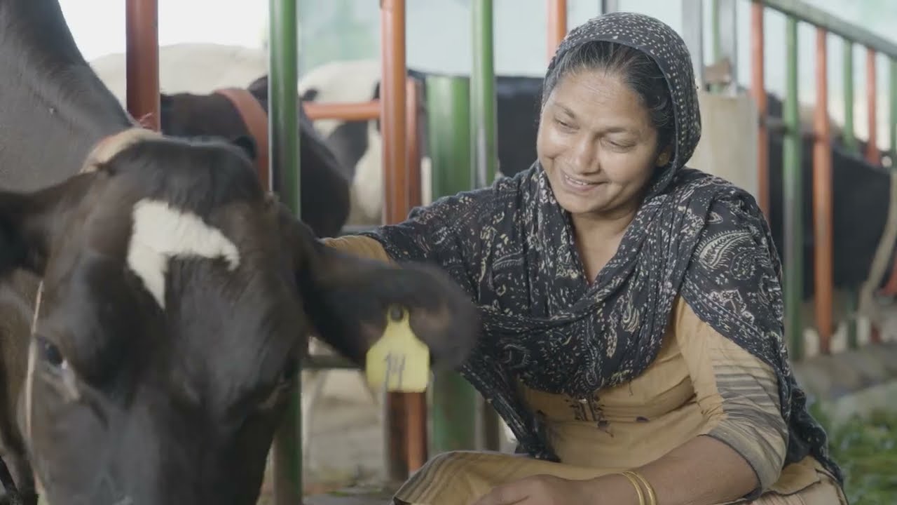 Nestl&eacute; Dairy Plan: Regenerative feed solutions for lower-carbon dairy farming