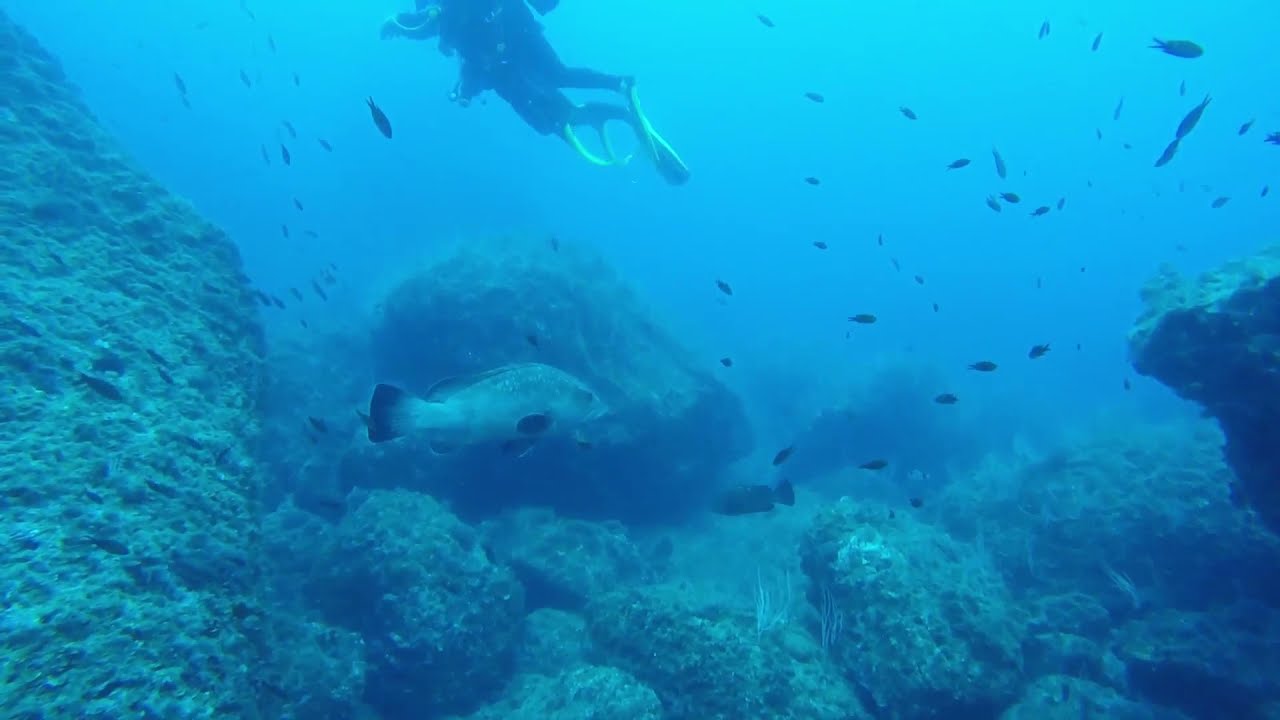 Duiken L'Estartit Spanje