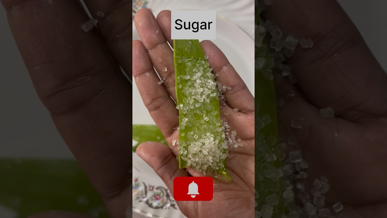 Aloe Vera Face Scrub at home #aloevera #facescrub