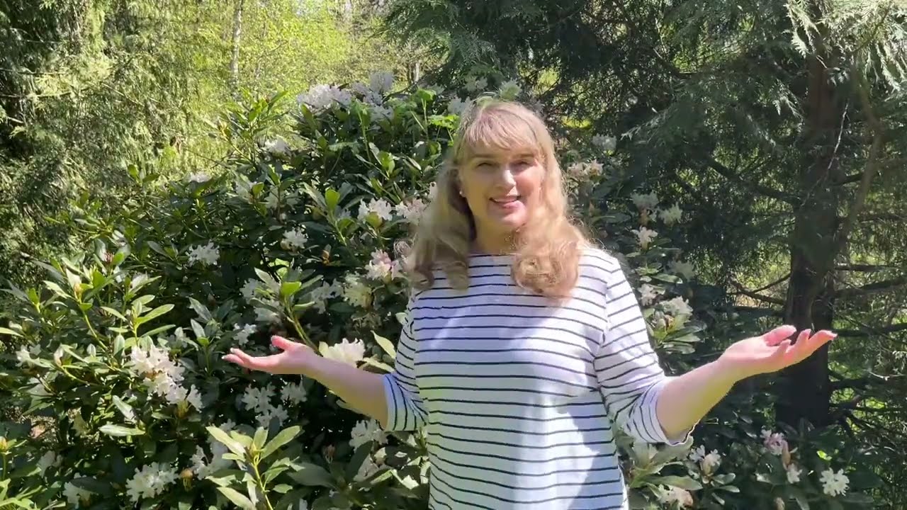 Rhododendron Bud Blast: A Follow Up