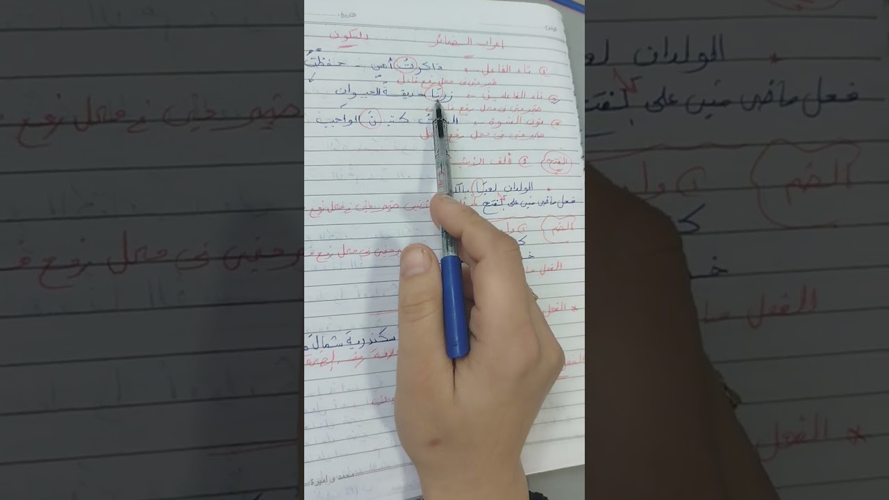 ١٢ أبريل ٢٠٢٥