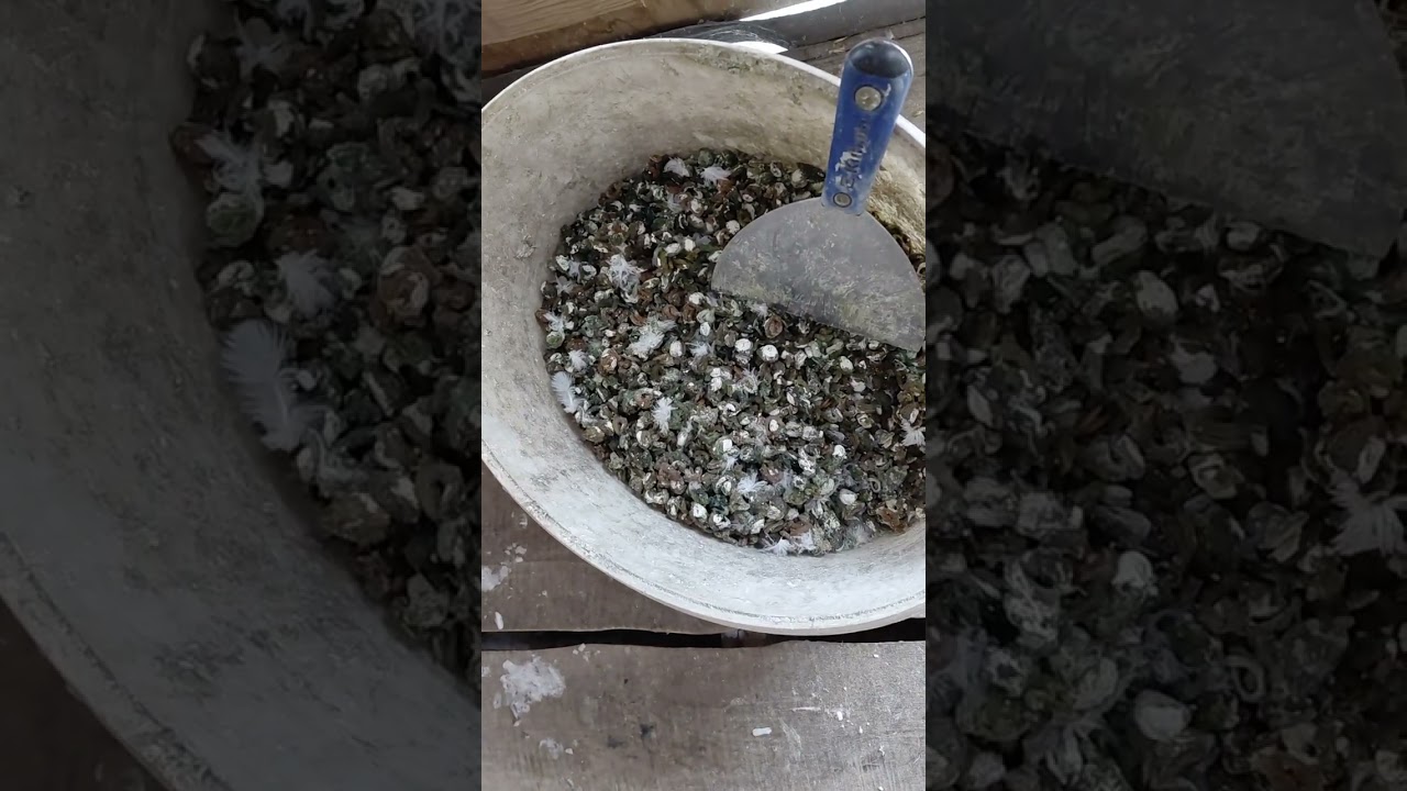 W końcu ruszamy z testem volantora