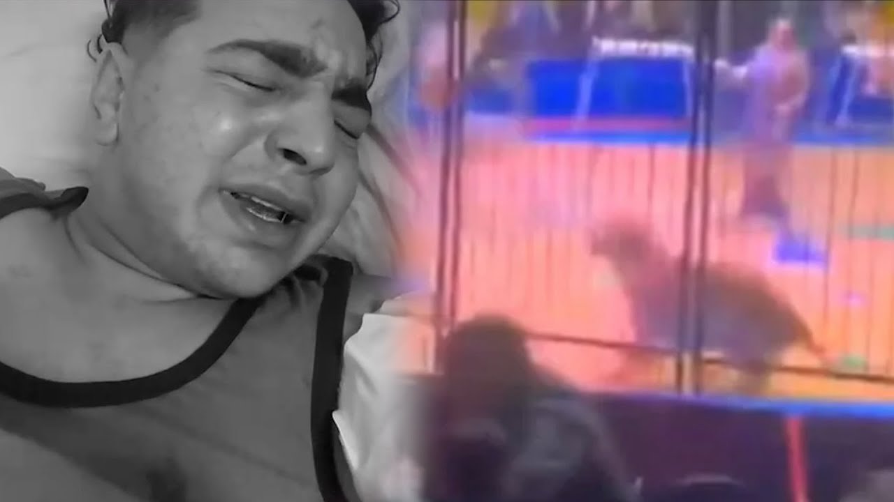 أوسا الحلو تكشف تفاصيل جديدة عن واقعة نمر طنطا  .. لماذا اختار مساعد المدرب؟