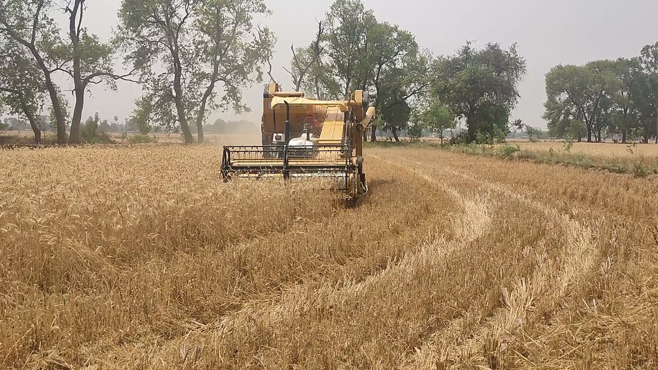 Mini Combine harvester Vikas-325