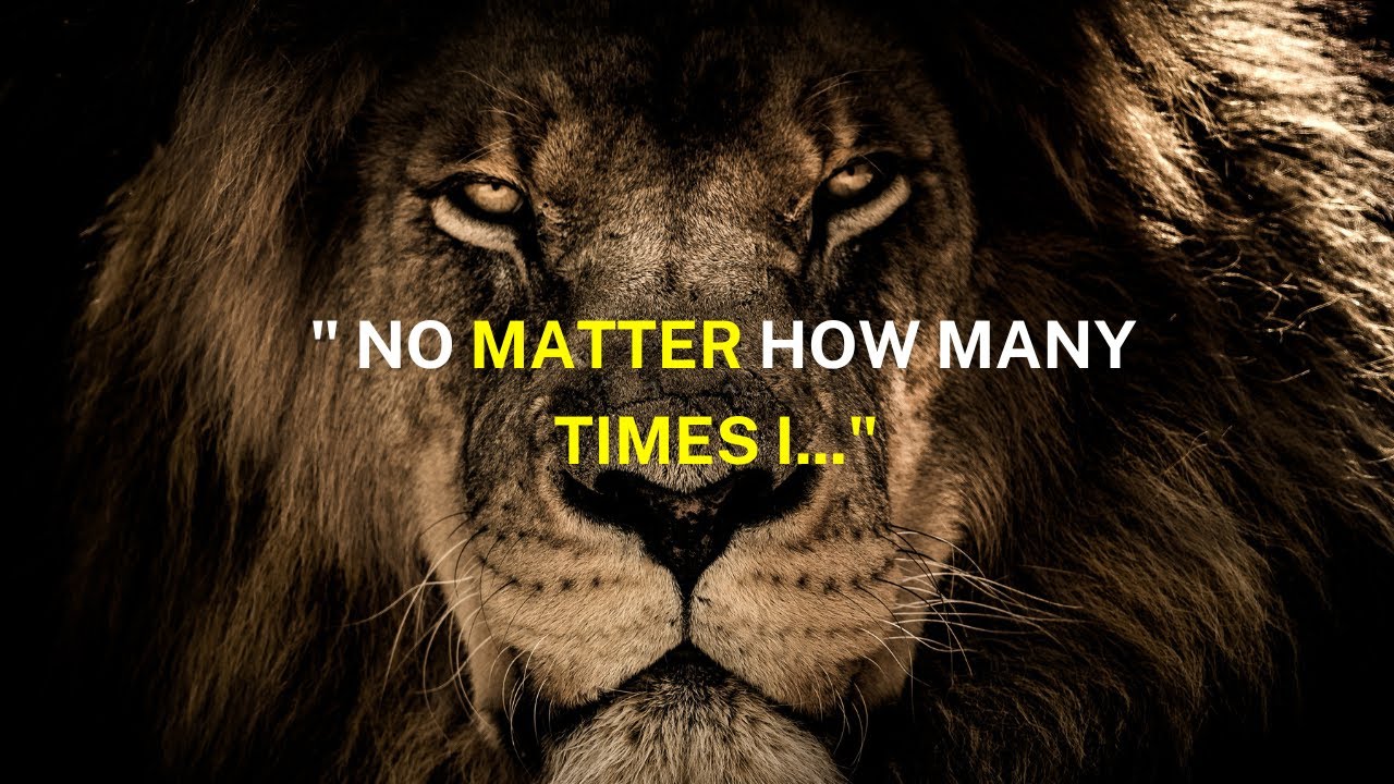 Lion Attitude status ||  Sigma rule || Lion attitude whatsapp status #shorts