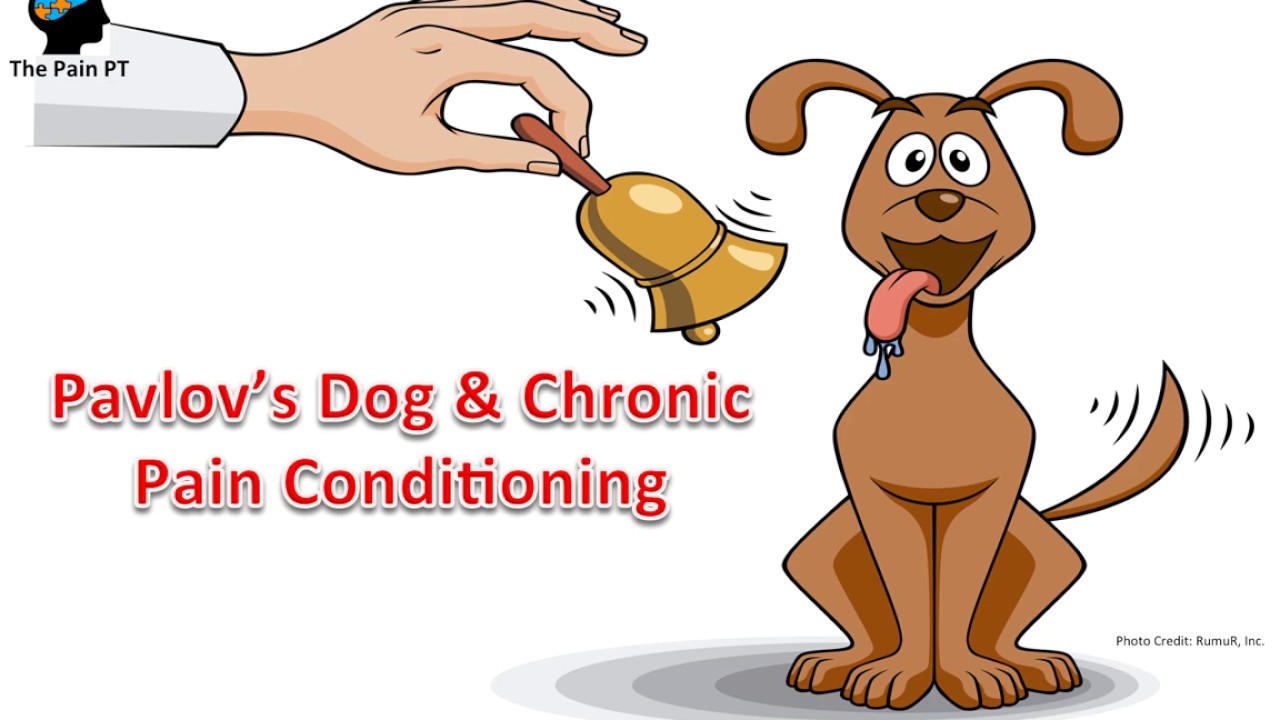 Chronic Pain: A Learned Habit- Pavlov's Dog- TMS- Dr. Sarno