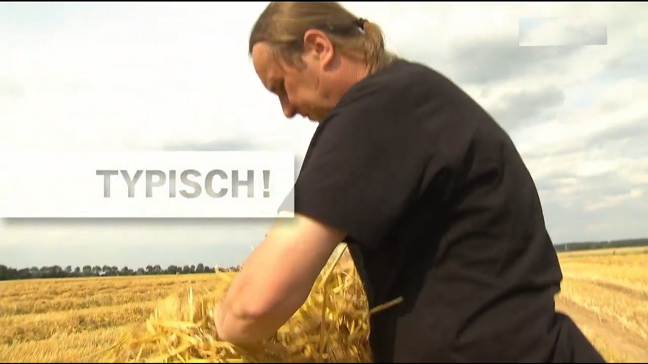 Der Strohmann aus Mehringen (Wulzen) (15.09.2016)