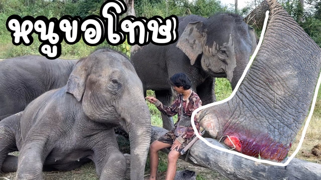 เกิดเหตุไม่คาดฝัน ‼️พ่อวิ่งตัวปลิว พี่ปุ๊กลุ๊กกับแม่ธันวาทะเลาะกัน ถึงกับเลือดออก