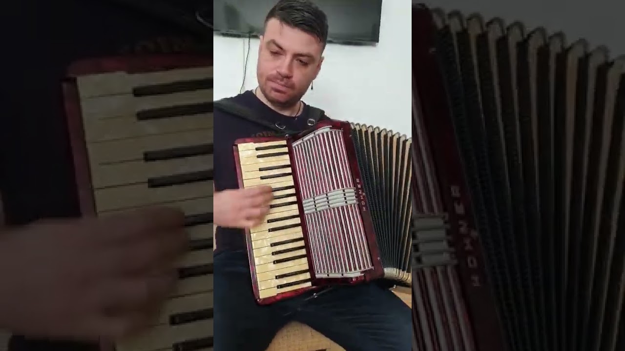 Mostra Sunet Hohner Verdi II 80 bași !