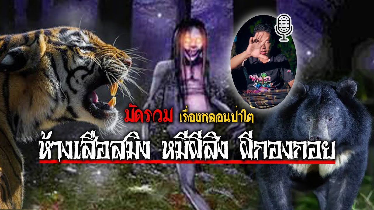 มัดรวม!! เรื่องหลอนในหมู่บ้านกลางป่าใต้ ห้างเสือสมิง / หมีผีสิง / ผีกองกอย ( ฟังยาวๆ 2.30 ชม.)