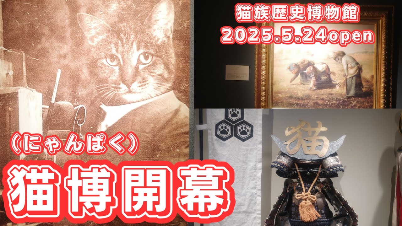 【京都市/猫猫寺/猫族歴史博物館】第304回 猫博（にゃんぱく）開幕！猫族の歴史を刮目せよ！※番外編です。山はありません（2025.5.24）
