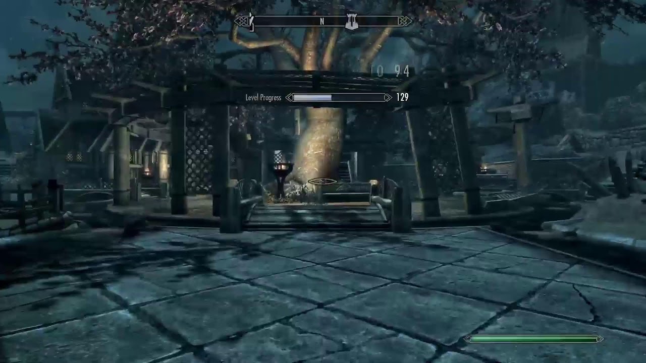 Skyrim plat run