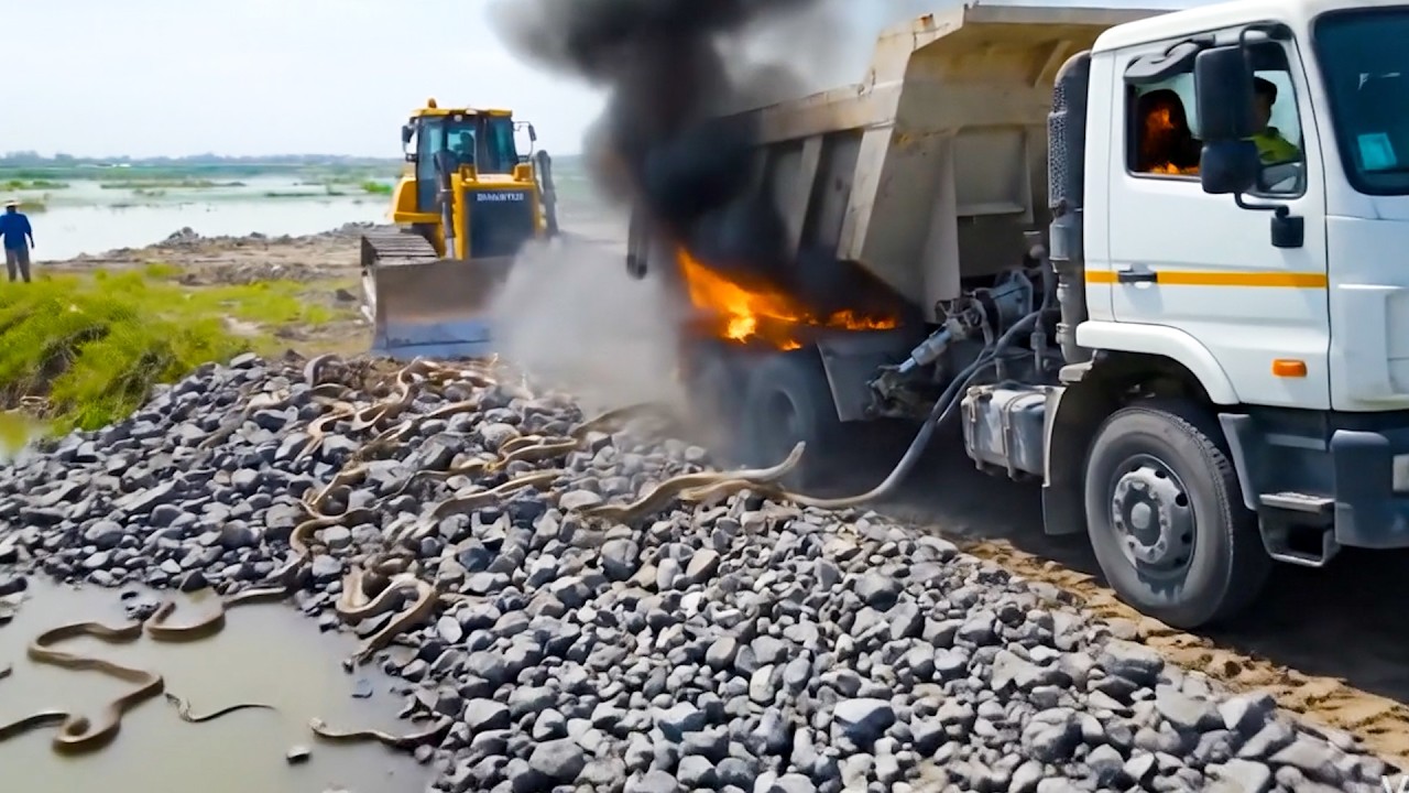 Rush Work Road Construction Cutting Water Wonderful Machines Dozer Truck Dumping Stone