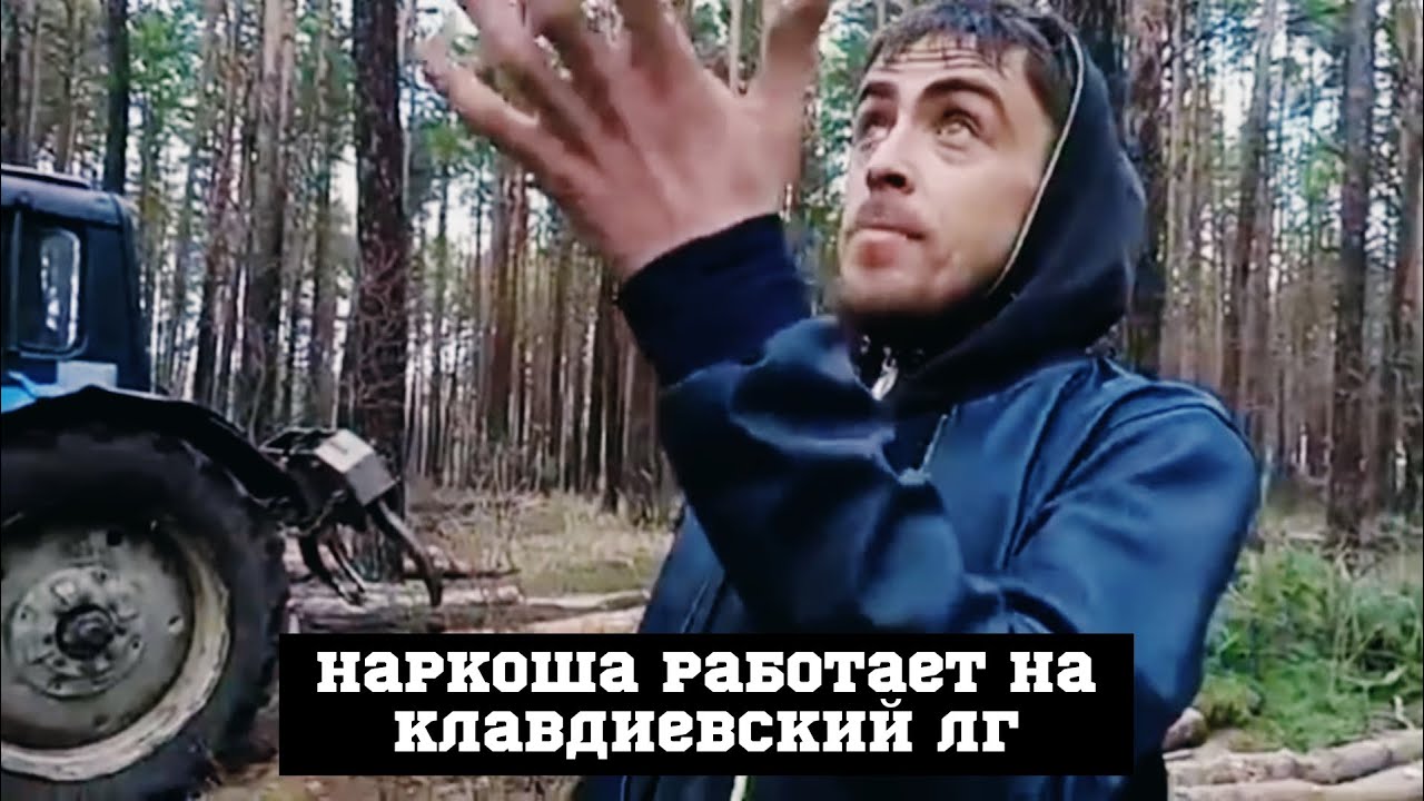 Клавдиевский ЛГ. Воруют  безбожно. Наркоман на валке леса