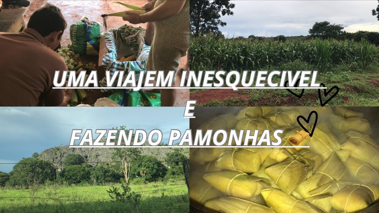 Minas Gerais : Uma Viagem com Sabor de Pamonha.