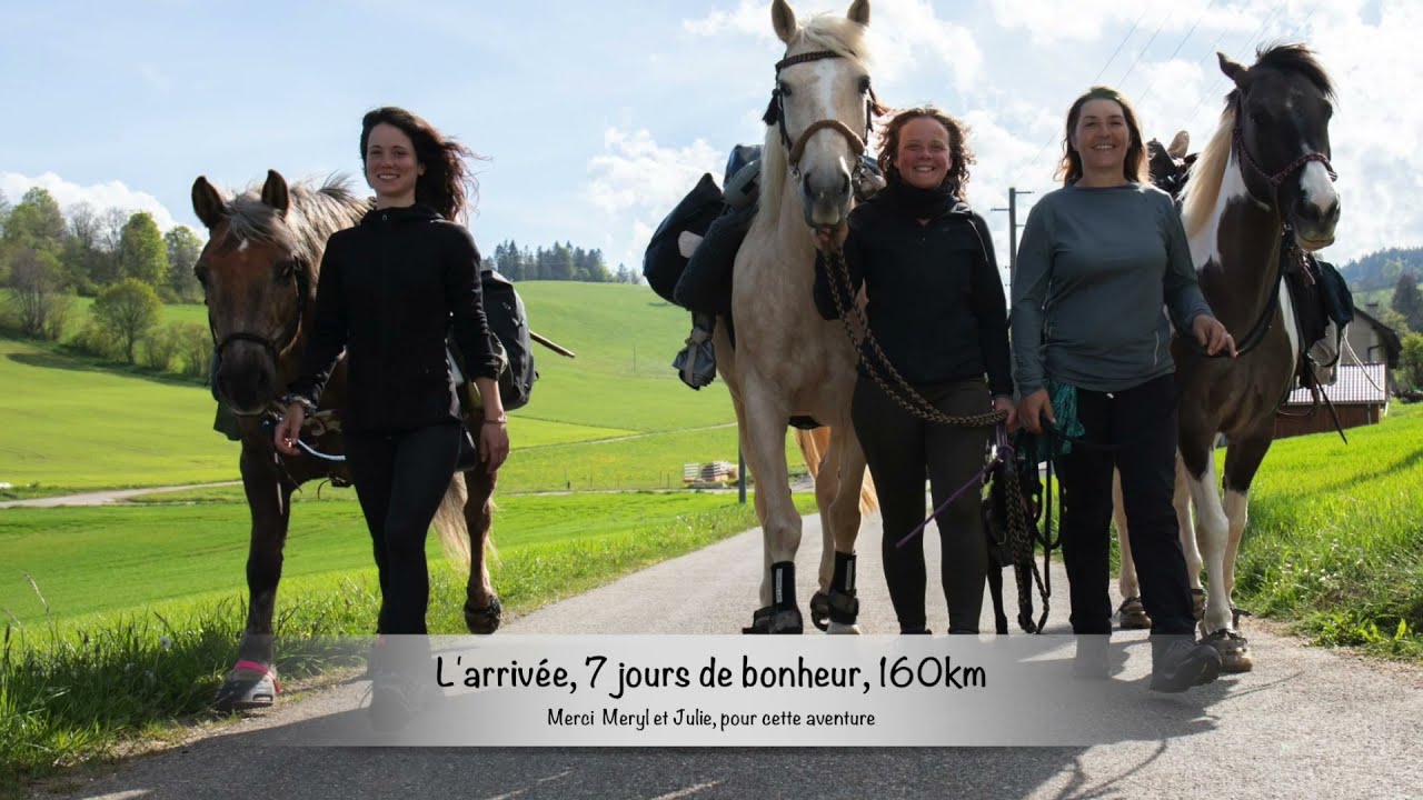 Randonnée à cheval, via la Vallée de Joux