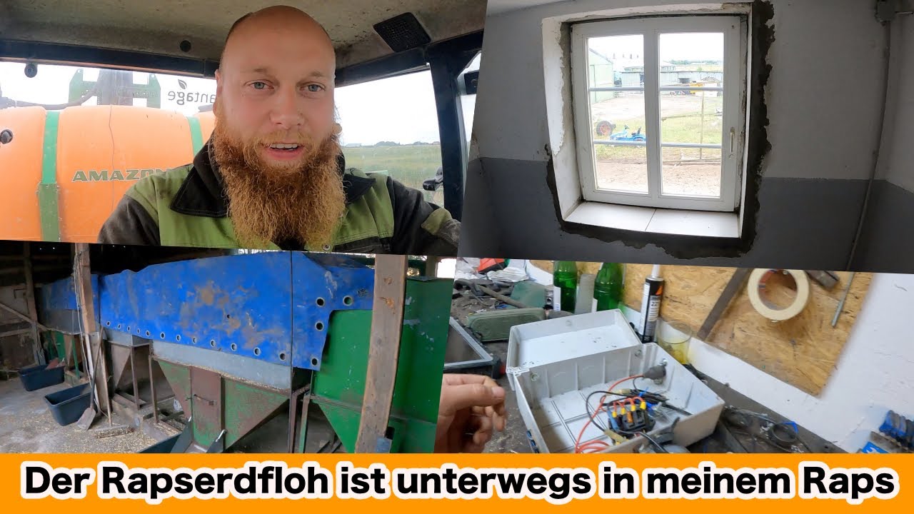 FarmVLOG#501 - Der Rapserdfloh ist in meinem Raps unterwegs