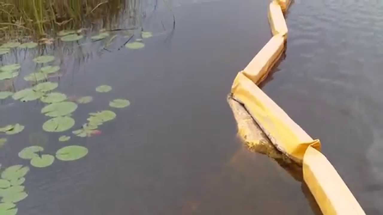 Everglades Restoration Project Fail (Too much Money not enough Brain)
