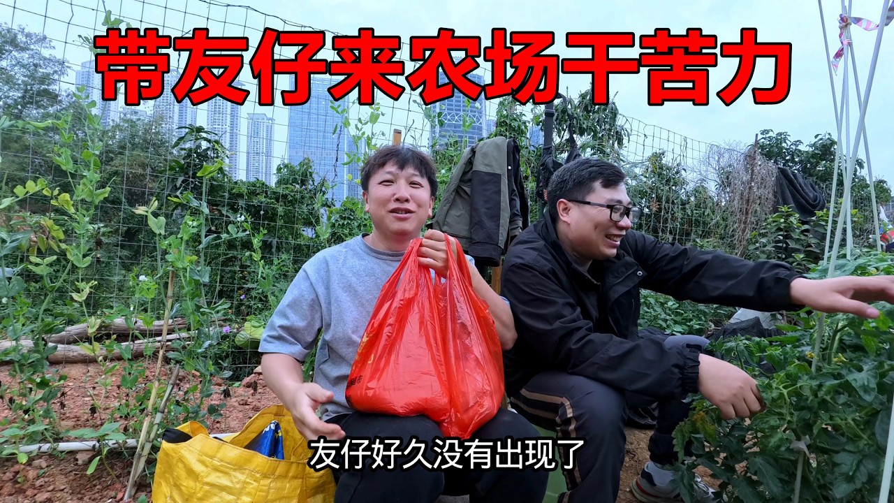 好久不见，友仔身材发福了，必须带他去菜地干点苦力减减肥！大家也顺便互相分享一下过年带来的家乡特产【我是杰少】