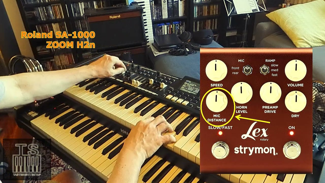 Strymon Lex V2 & Hammond SKX Pro - 1 @strymon